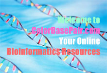 bioinformatics