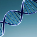bioinformatics